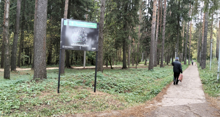 Стало известно, ждать ли костромичам теплую погоду в октябре