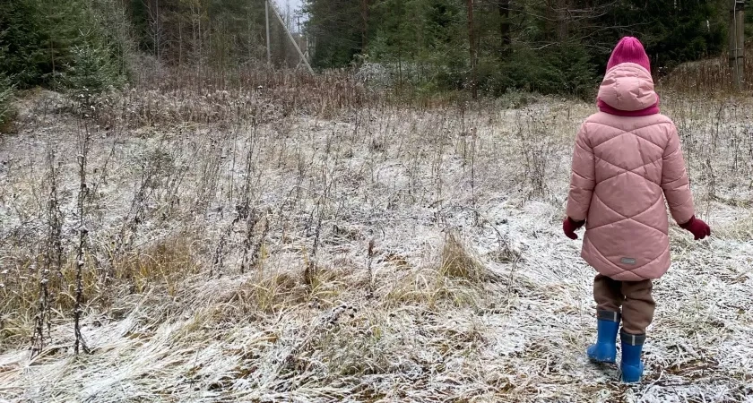 Стало известно, какой будет зима в Костромской области