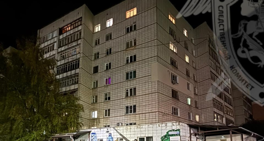 В Костроме 4-летний мальчик выпал из окна 9 этажа и погиб