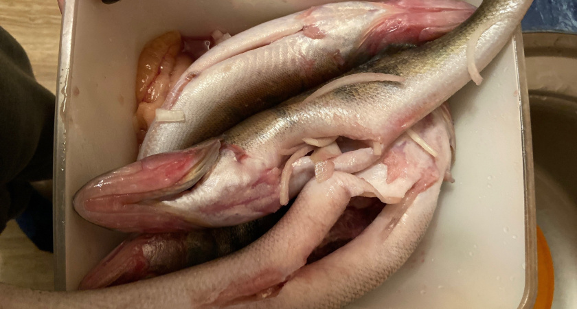 Скупаю килограммы этой копеечной рыбы: бабушка оставила рецепт вкусного и сытного ужина