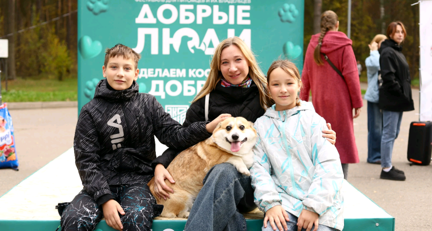 Партия «Новые люди» в Костроме провела акцию в поддержку приютов для животных