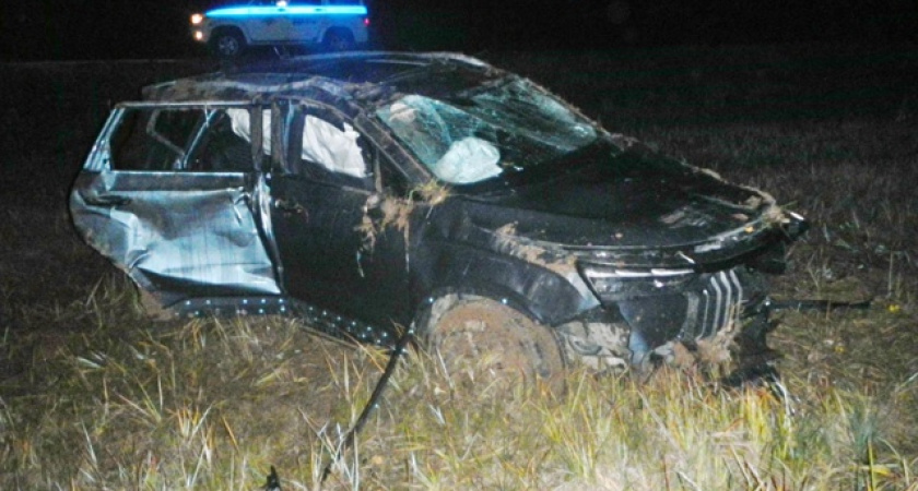 В Костромской области Geely съехал в кювет: есть пострадавшие