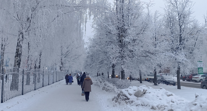 Накроет аномальная погода: такой зимы не было более 20 лет - синоптики выдали прогноз на январь
