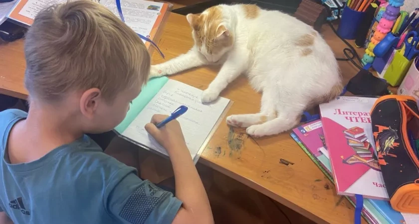 Старинное имя для мальчика быстро набирает популярность: мелодичное, статное и красивое - в переводе значит "Бог спасает"