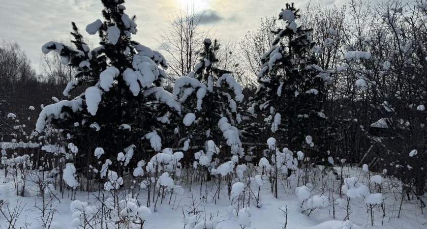 Прогноз погоды на ноябрь 2025 года