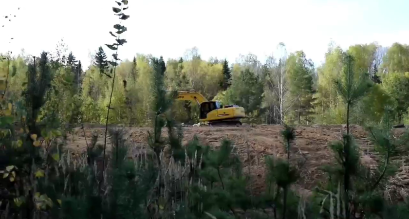 «Временная» свалка у реки: почему костромские жители не верят обещаниям властей