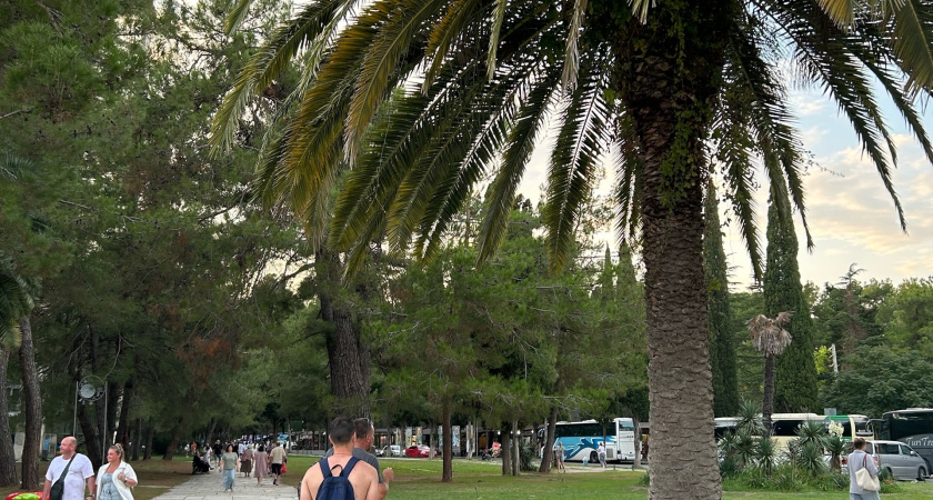 Куда пропали горящие туры в Турцию и ждать ли их в 2026 году? Разочарованные туристы уже бьют тревогу