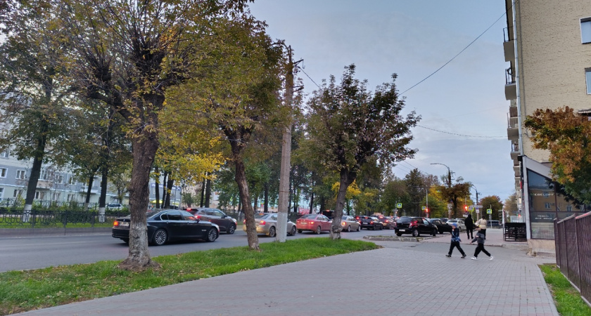 Губернская ярмарка, спасение лошади и популярные имена: подборка самых обсуждаемых новостей за 11 октября