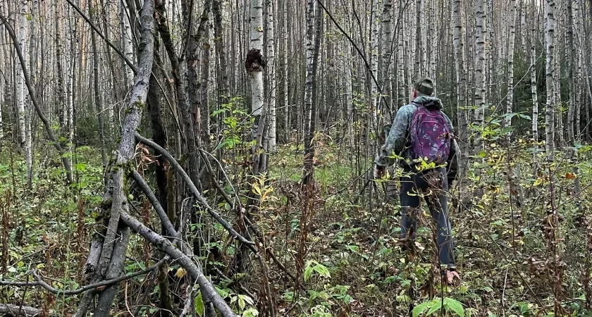 Костромской фермер оштрафован за заброшенную землю