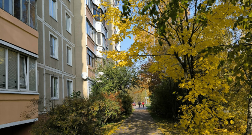 В Костроме все домовые чаты объединят в российском мессенджере MAX