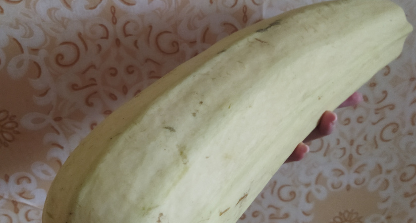 Гости из Армении научили меня невероятно вкусно готовить кабачки — теперь делаю 2–3 раза в неделю и не надоедает