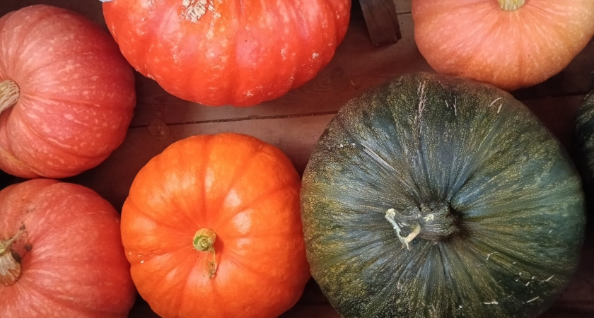 Изумительный осенний десерт - теперь тыкву едят все домашние: просто, быстро и безумно вкусно