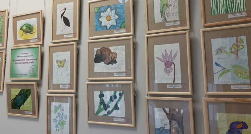 В Костромской области издадут детскую версию Красной книги