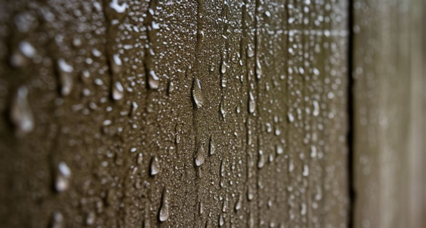 Больше не мучаюсь с конденсатом в погребе: помогла 1 простая хитрость