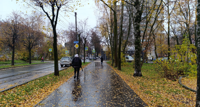 Не делай добра и не давай денег в долг: почему нужно всегда остерегаться тех, кому вы помогаете