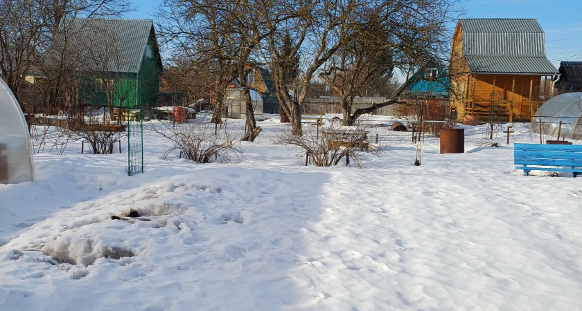 Холод придет резко и без стука: Роман Вильфанд сказал, когда закончится теплая погода