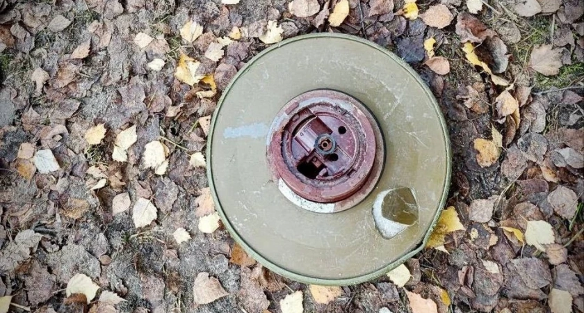 В Костроме на стройплощадке обнаружили муляж мины