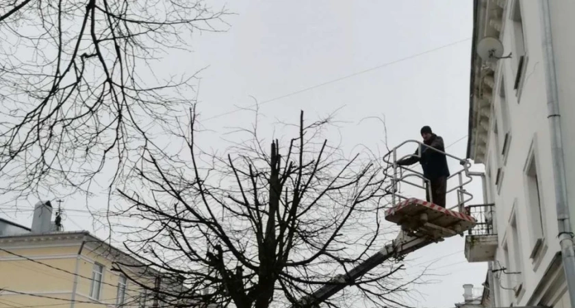В Костроме дорожники спилили сухие ветви деревьев вдоль оживленных дорог