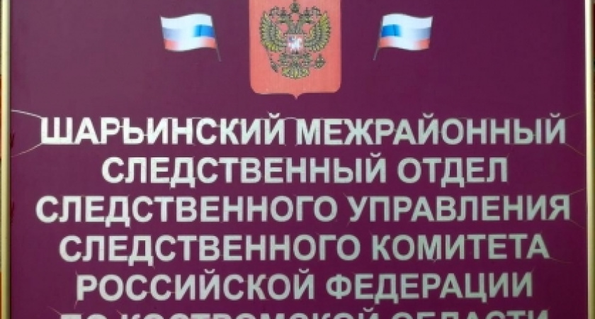 Пьяный водитель в Шарье избил инспектора ДПС