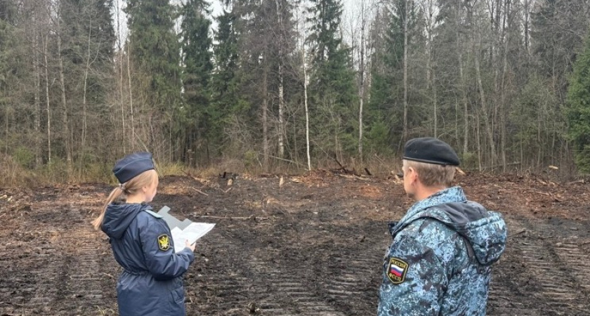 Солигаличский бизнесмен вернул муниципальную землю после жестких мер приставов