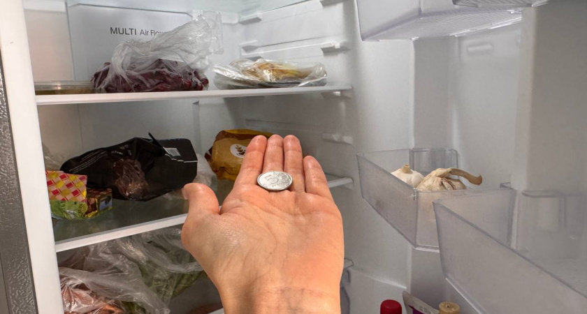 Холодильник больше не размораживаю: опытный мастер проговорился после стопки