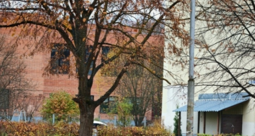 На неделе в Костроме подморозит до минус 1 градуса днем