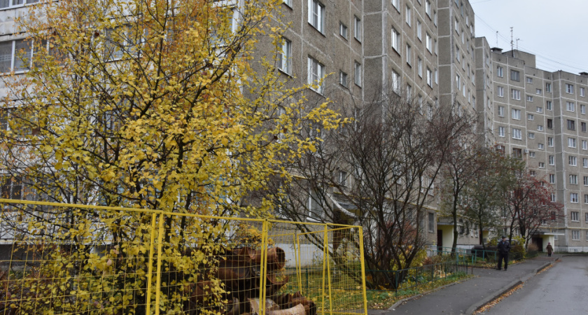 Горячие участки Костромы: коммунальщики устраняют дефекты на десятках улиц