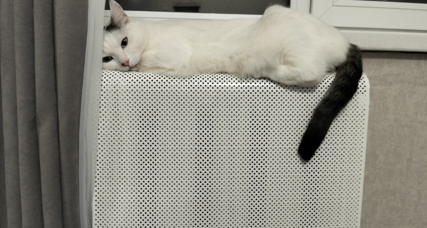 Впервые за 7 лет все районы Костромской области полностью готовы к зиме