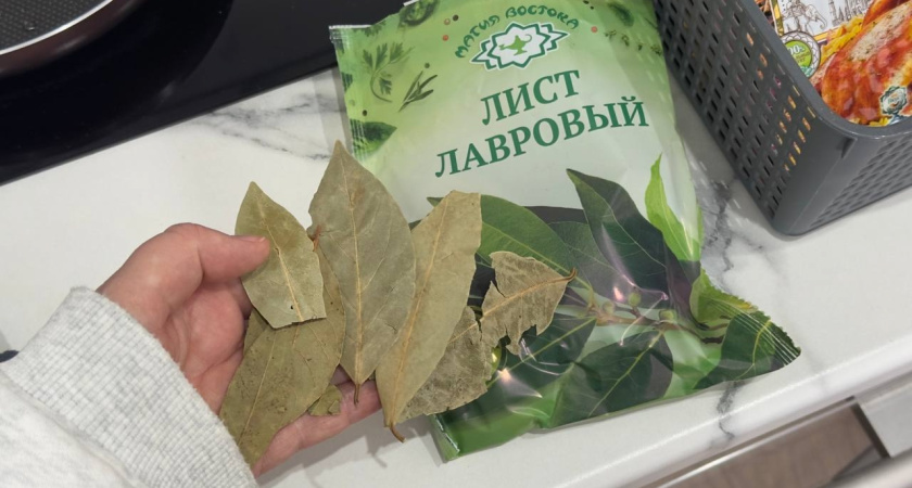 Закопайте лавровый лист в огороде в ноябре: весной вы обомлеете от результата - достаточно сделать лунки по 5 сантиметров