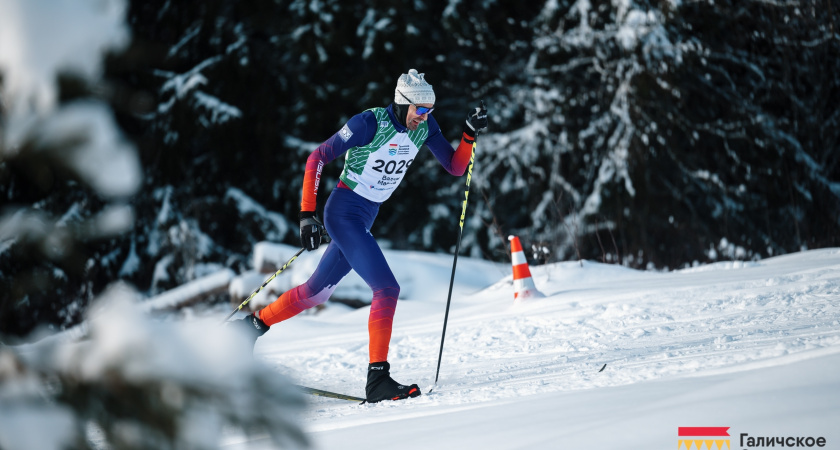 В Костромской области открыли регистрацию на лыжный марафон «Галичское Заозерье»