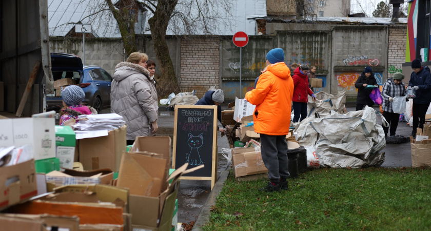 Костромичи собрали более четырех тонн вторсырья в рамках экологической акции