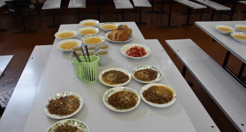 Почти 1900 детей бойцов СВО получают поддержку в Костроме