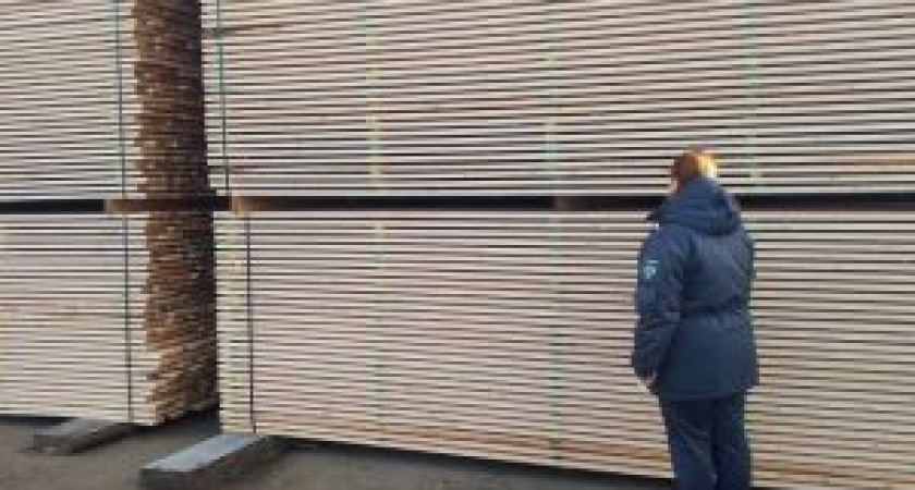 Из Костромской области в Ирак отправили 1,4 тысячи кубических метров пиломатериалов