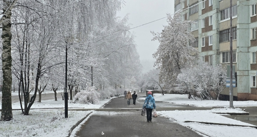 Стало известно, когда в Костроме температура опустится ниже нуля