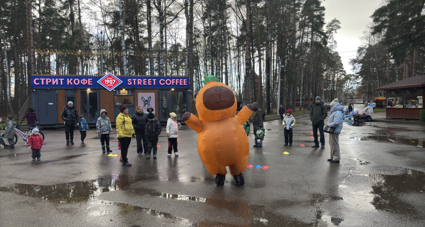 Костромичей приглашают в парки  отметить День Матери (6+)