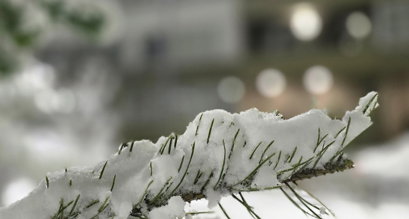 Самая суровая зима за 250 лет: синоптики фиксируют ранние признаки рекордных морозов и предупреждают о снежных бурях