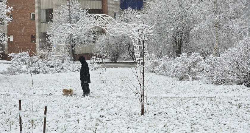 Синоптики предупреждают: зима будет заметно холоднее прошлой, но в среднем останется в пределах нормы