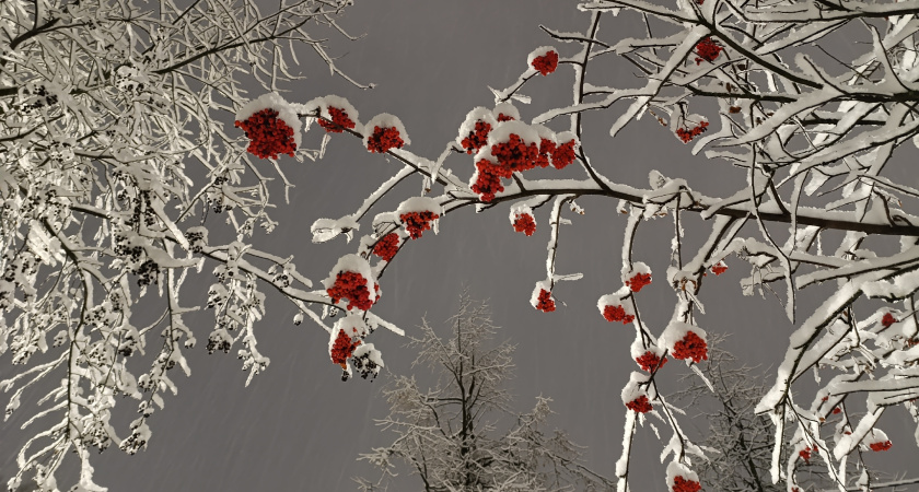 Морозы –40 и «ледяной апокалипсис»: ждать ли России рекордных холодов зимой 2025-2026? Роман Вильфанд сказал, как есть