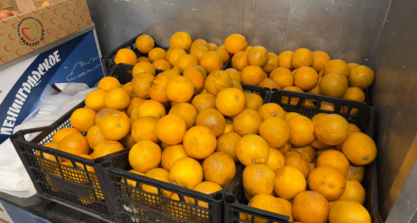Купите сейчас — поблагодарите себя под бой курантов: как сохранить мандарины свежими до самого Нового года
