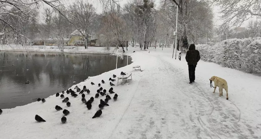 О чем нельзя жаловаться, чтобы сохранить уважение окружающих: мудрый ответ психолога