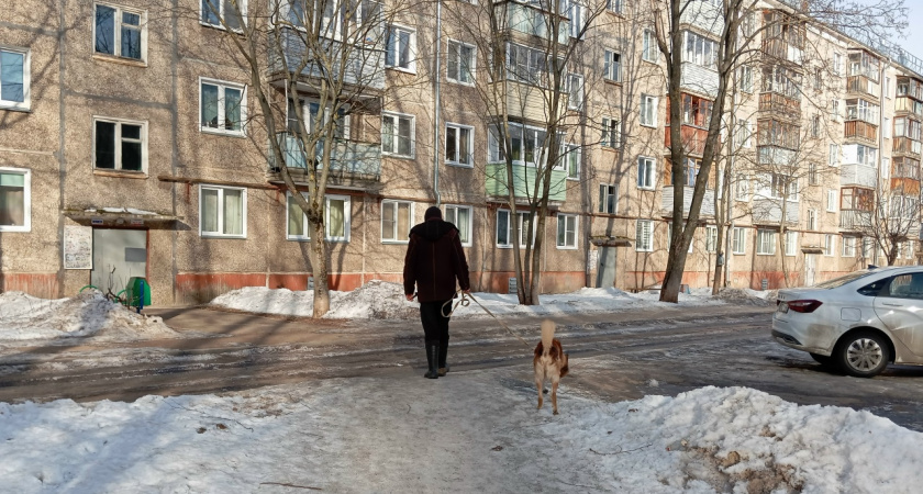 Избиение подростка, необычное ДТП и лучший педагог России: что читали костромичи в субботу, 29 ноября