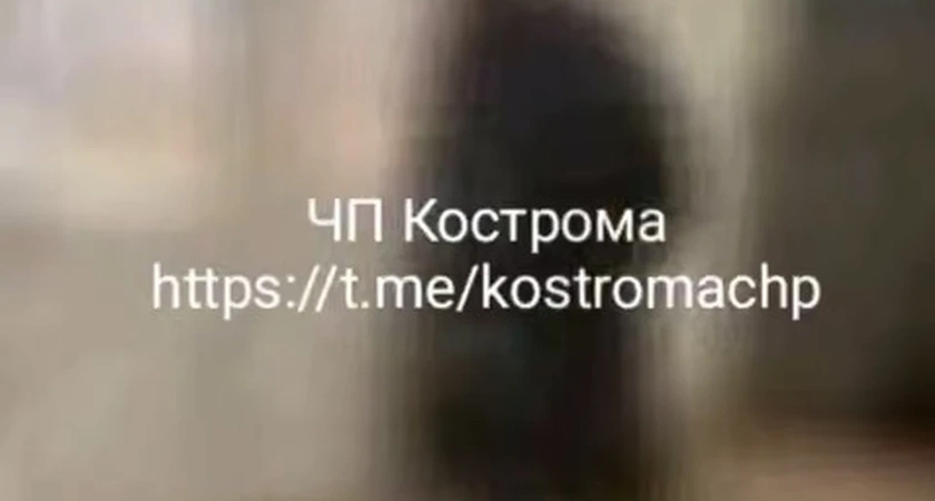 Прокуратура расследует драку школьников в Костромской гимназии №15: видео взорвало сеть