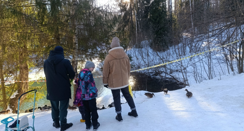 С 2026 года 15 тысяч костромских семей получат новую ежегодную выплату