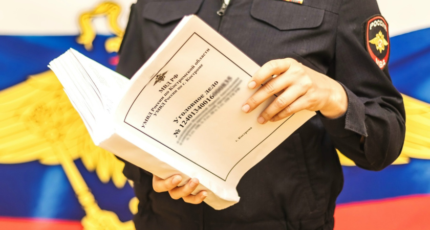 В Костромской области помощница по дому украла деньги у пенсионера, которые он копил на дрова