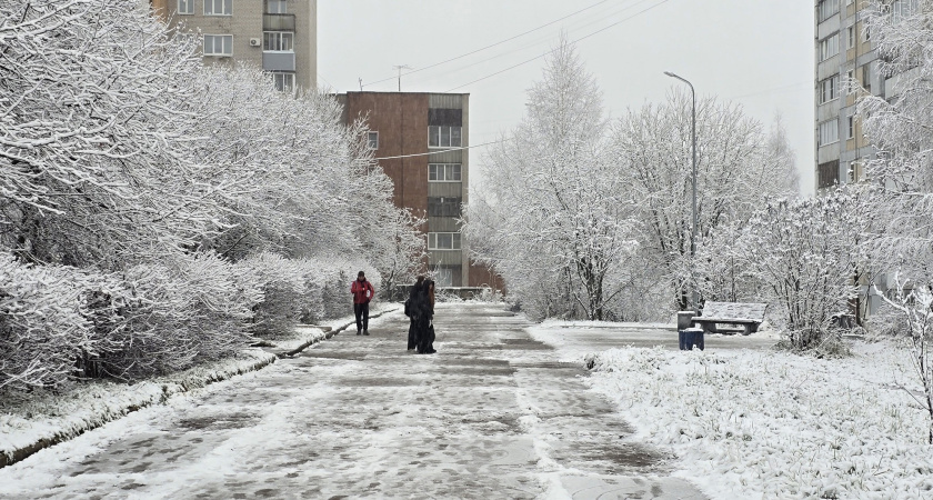 Погодные качели и локальные рекорды: что ждёт Россию зимой 2026 года
