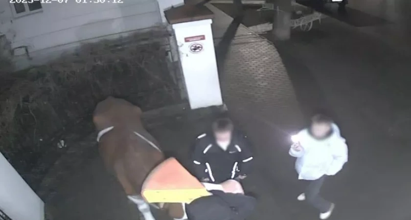 В Костроме разыскивают вандалов, повредивших скульптуру у музея сыра