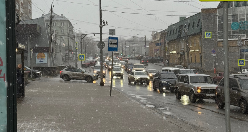 Зимы не будет, а весна наступит раньше срока: синоптики рассказали о погодной аномалии в России