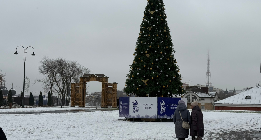 Опять осень? В Гидрометцентре ответили, каким будет декабрь - радости мало