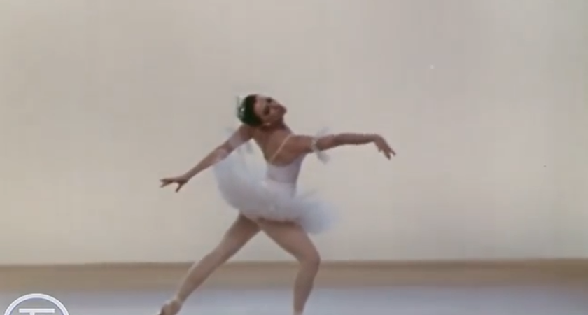 Майя Плисецкая предупреждала, а мы пропустили мимо ушей: вот кого нельзя пускать в свой дом. Запомните раз и навсегда