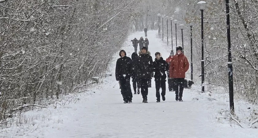 Отмена электричек, изменение стоимости проезда и травма на горке: что читали костромичи на неделе с 8 по 12 декабря